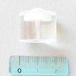 Lower Reactor Chamber.