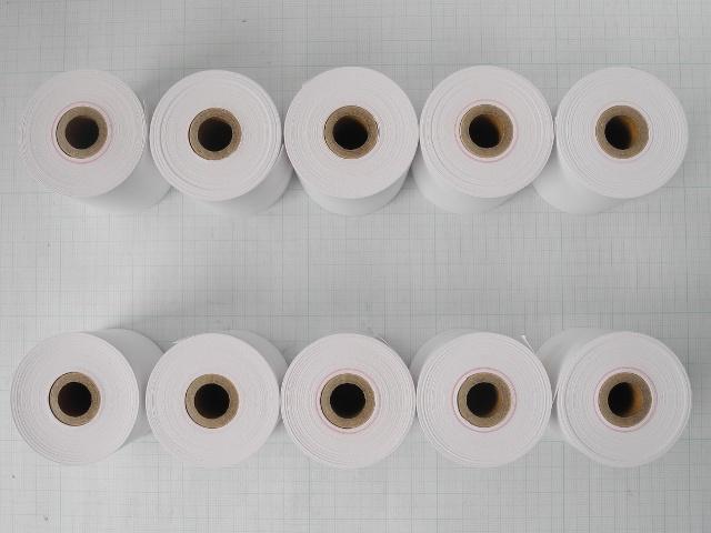 Label paper, 10 rolls, EP-100 & EP-110